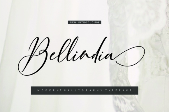 Bellindia: A Script Font for Web Design
