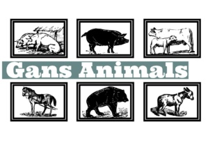 Gans Animals Font Review
