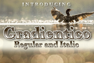 Gradientico: A Retro Serif Font