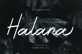 Halana: A Script for Real Projects
