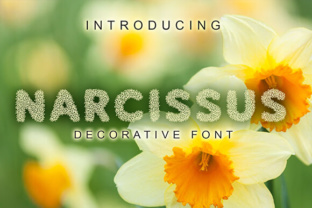 Narcissus: The Decorative Font That Elevates Editorial Design