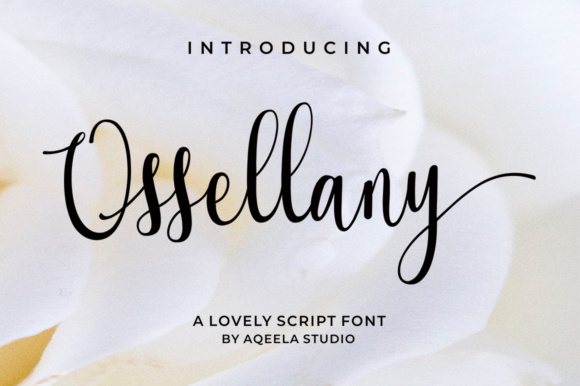 Ossellany Script: A Modern Calligraphy Font