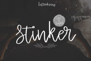 Stinker Font: A Script Handwritten Typeface That Works for Campaigns