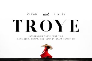 Troye Trio: A Font for Modern Campaigns